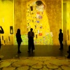 Immerzív Gustav Klimt kiállítás Budapesten 2025-ben - Jegyek a Gustav Klimt The Immersive Experience